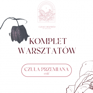komplet warsztatów
