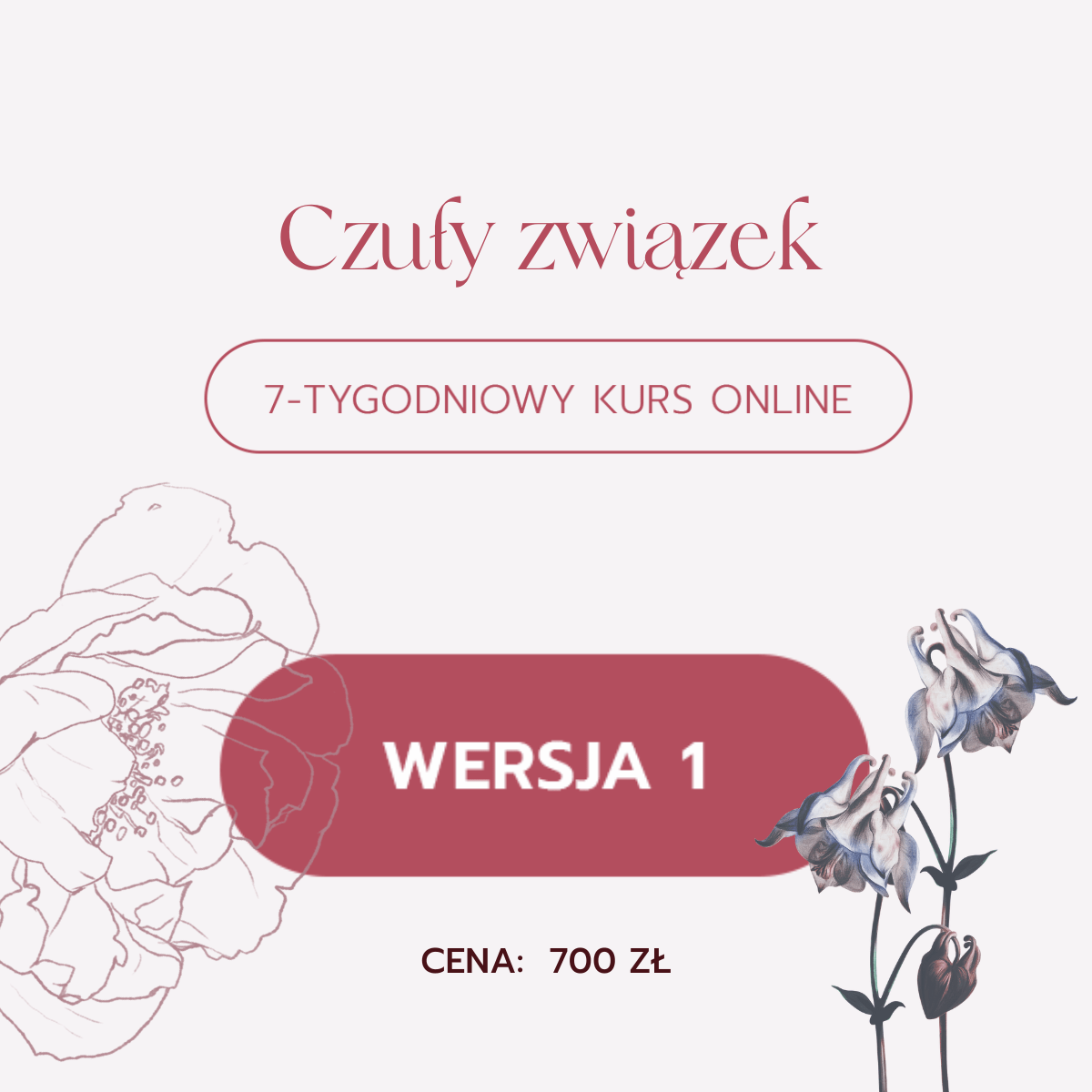 Kurs Czuły Związek| 1 Rata | wersja 1 (edycja 3)