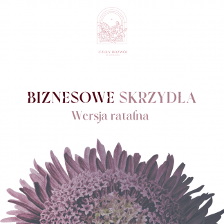 biznesowe skrzydła wersja ratalna